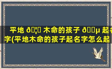 平地 🦁 木命的孩子 🌵 起名字(平地木命的孩子起名字怎么起)